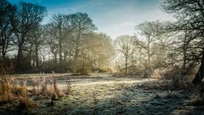 Met Éireann predicts 10C temperature plunge after weekend heat blast