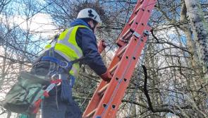 ESB infrastructure in Mayo not fit for purpose claims councillor