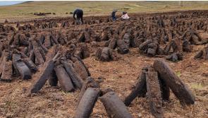 Turf still used for heating by 14 percent of Mayo households