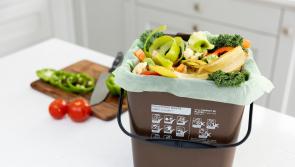 How to dispose of your food waste in Mayo after Storm Éowyn