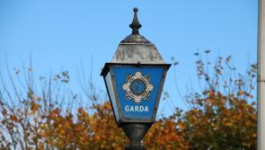Man arrested after significant amount of cash seized by gardaí during search at house