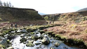 Weekend of guided tours through spectacular Mayo trails