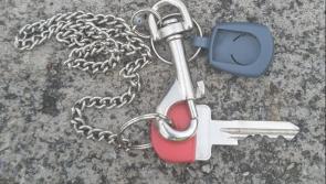 Over half of Mayo students likely to emigrate, according to survey