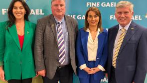 Fine Gael select new candidate to contest local elections