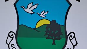 Gallant Garrymore win a thriller