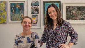 Castlebar's Linenhall Arts Centre announced new Co-Directors 