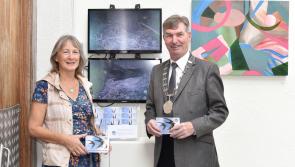 Linenhall welcomes swift chicks