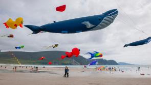 International Kite Festival returns to Achill this weekend