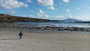 DAD DIARY:  Island intrigue 
