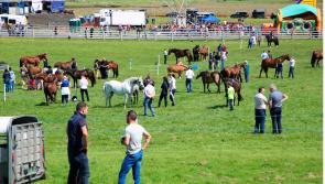 Louisburgh Horse & Pony Show cancelled 