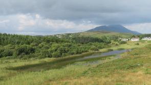 Townland Tales:  Animal or mineral?