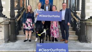 Zero fines for dog fouling issued in Mayo in 2022