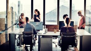 Employment rates in Ireland hit highest level since records began