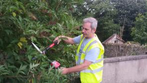 Castlebar voluntary groups busily preparing for Make Way Day