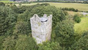 This Irish castle could be yours for €450,000 