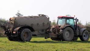 'Action required' - EPA urges Mayo  County Council to have more farm inspections 