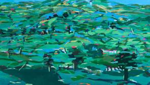 Prestigious RHA West exhibition set to open in Ballina