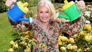 Uisce Éireann appeals for public to conserve water