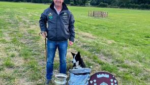 Achill man captains Ireland to world sheepdog trials victory