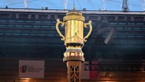 Rugby World Cup on Irish TV: Fixtures to watch live this week