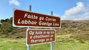 DAD DIARY:  The cúpla focail