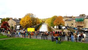 Council and horse fair organisers at odds over newspaper advertisement