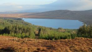 TOWNLAND TALES: Getting to grips with grassy places in Murrisk Barony
