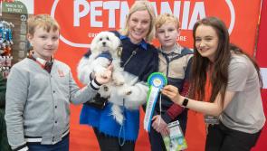 Westport puppy represents local store at Petmania's Puppy of the Year competition