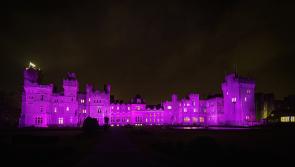 Ashford Castle shines a light on World Pancreatic Cancer Day