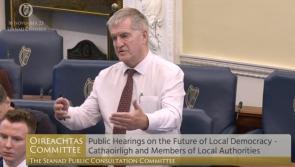 Hyland calls for Newport, Westport and Louisburgh ‘borough’ in Seanad