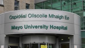 HSE has ‘given up’ on MUH – Barrett