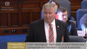 Loftus calls for JPCs to be retained in Seanad address