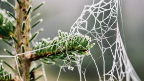 Cold snap to continue as Met Éireann warns of 'Arctic airmass' over Ireland