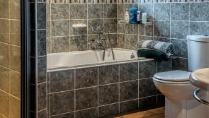 Warning over critters that could be hiding in your bathroom after spike in cases