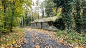 PICTURES: There's a very big reason this house in Mayo is for sale for €310,000