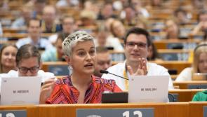 Maria Walsh tipped to retain seat in Europe