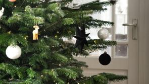 Mayo County Council put Christmas Tree recycling service in place 