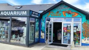2024 set to be a momentous year for Achill Experience Aquarium and Visitor Centre
