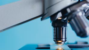 Multiple Mayo schools in the running for BT Young Scientist and Technology Exhibition 