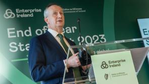 384 net jobs created by Enterprise Ireland client companies in Mayo