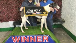 Kilkelly greyhound wins race in Galway