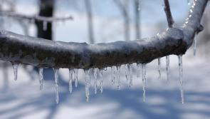 Met Éireann reveals coldest spot in Ireland as new warnings are issued
