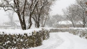 Met Éireann extends cold weather warnings again amid snow threat for four counties