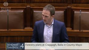 Concerns raised in Dáil over Craggagh forestry plans 