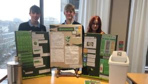 TY students from Mayo secondary school awarded national prize