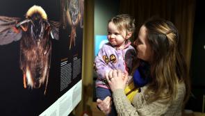 Museum of Country Life’s new exhibition deserves all the buzz