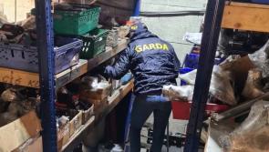 Two arrests in Ireland during 'day of action' targeting European crime gang