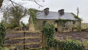 PICTURES: Hidden potential in €70,000 Mayo cottage with 11 acres that could be dream home