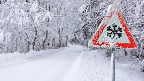 Schools could close amid snow and ice forecast as Ireland is hit by Arctic blast