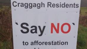 Castlebar councillors give full backing to opposition of Craggagh forestry